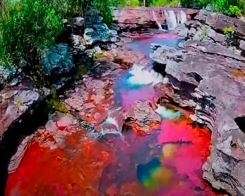 Rainbow River-কানো ক্রিসটেলস নদী রঙ পাল্টানোর কারন